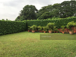 Bukit Ayer Molek (D21), Detached #151374932